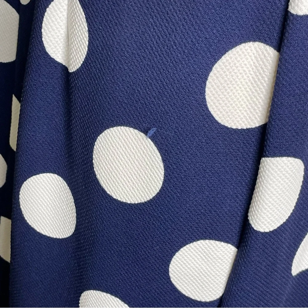 Karin Stevens 16 polka dot dress blue white yellow